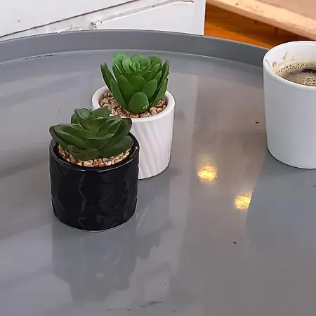 Vidacic * بايرت