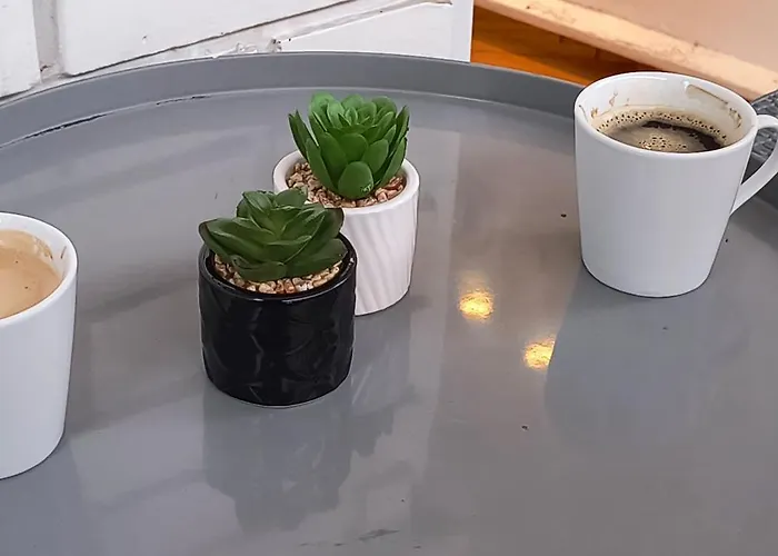 Vidacic * بايرت